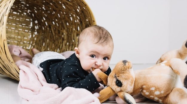 Quel tissu pour la peluche bébé ?