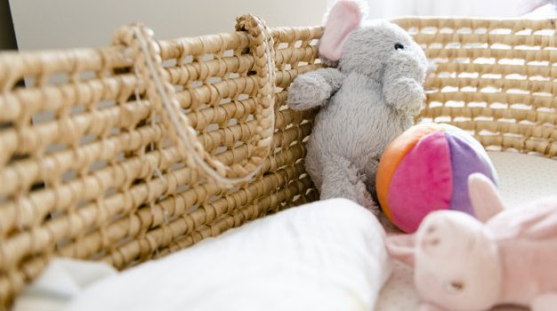 Quelle peluche offrir à un enfant fan d’animaux ?