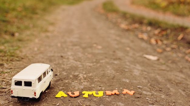 Où acheter une belle voiture miniature ?