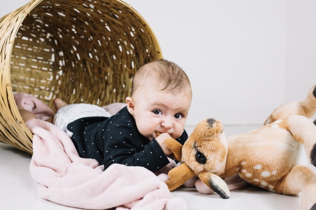 Quel tissu pour la peluche bébé ?