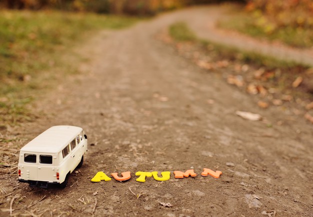 Où acheter une belle voiture miniature ?