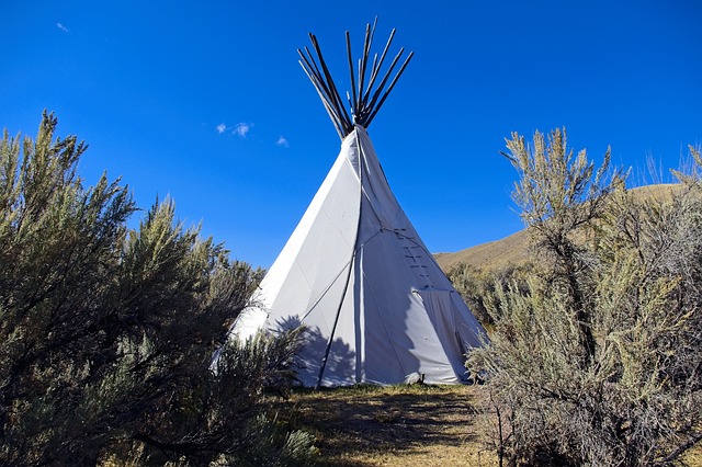 Top 10 des tipis enfant pour fille