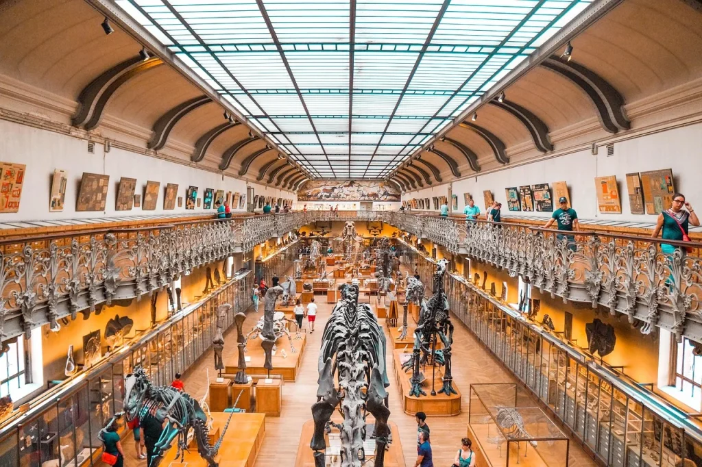 FAQ sur la généalogie : comprendre vos origines